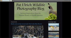 Desktop Screenshot of blog.patulrichphotography.com